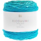 Fil Ricorumi spin spin Turquoise